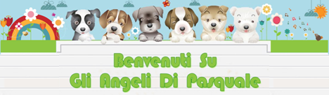 angeli